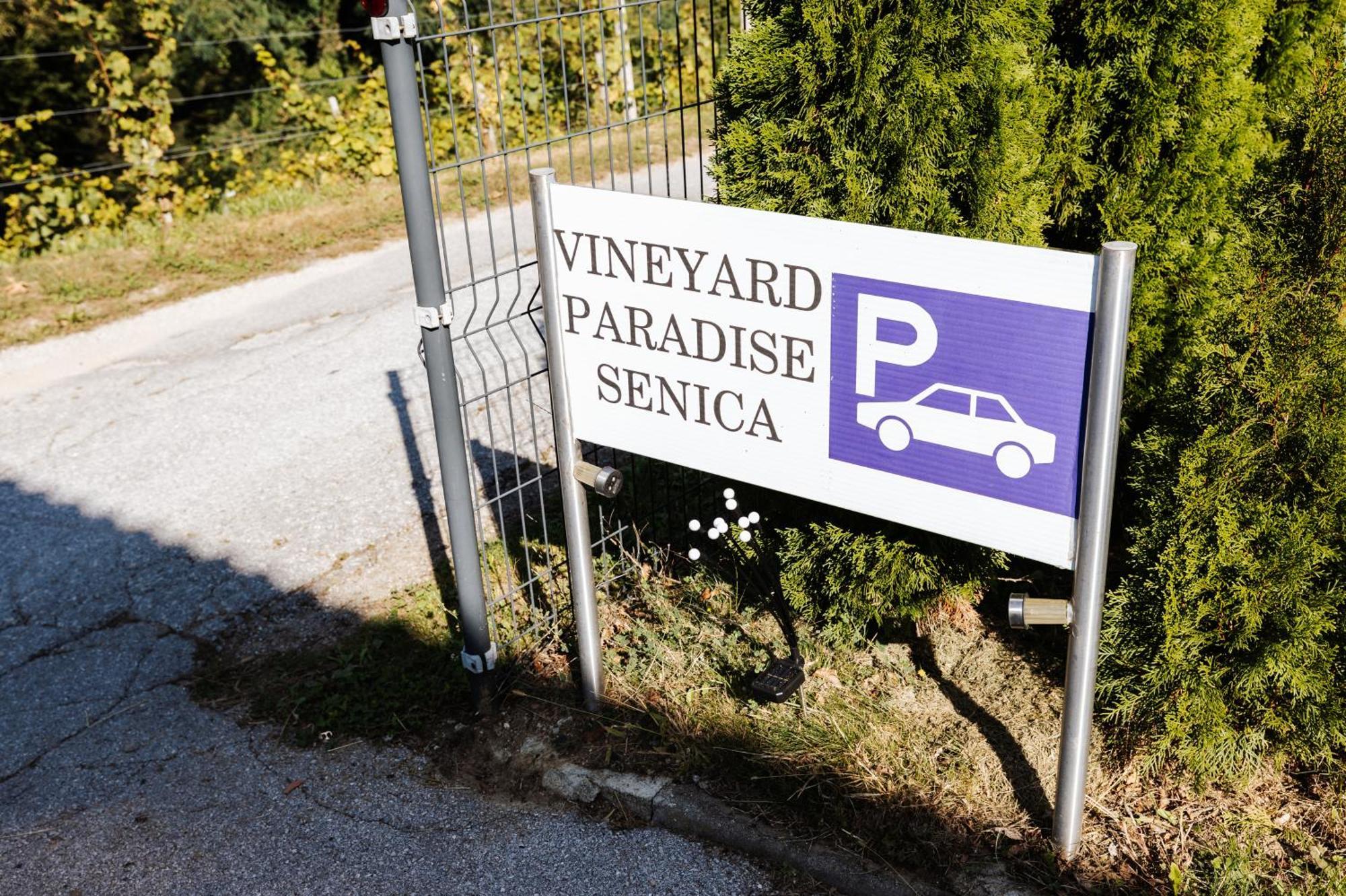 Vineyard Paradise Senica Dramlje ภายนอก รูปภาพ