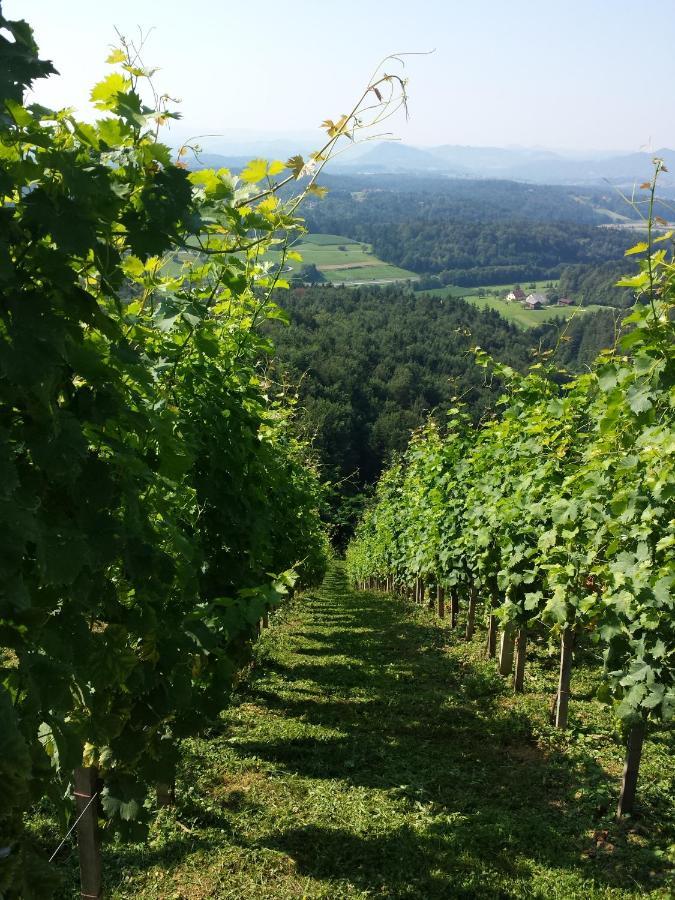 Vineyard Paradise Senica Dramlje ภายนอก รูปภาพ